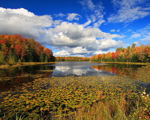 WI Mabel Lake